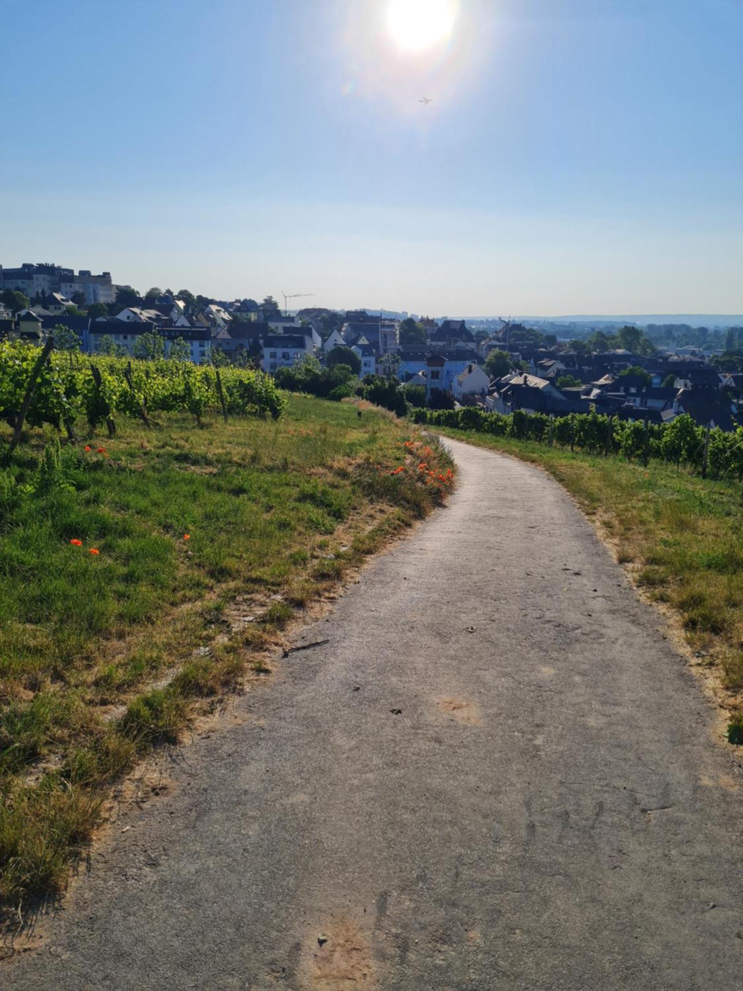 Ferienwohnungen Am Markt Rüdesheim am Rhein Extérieur photo