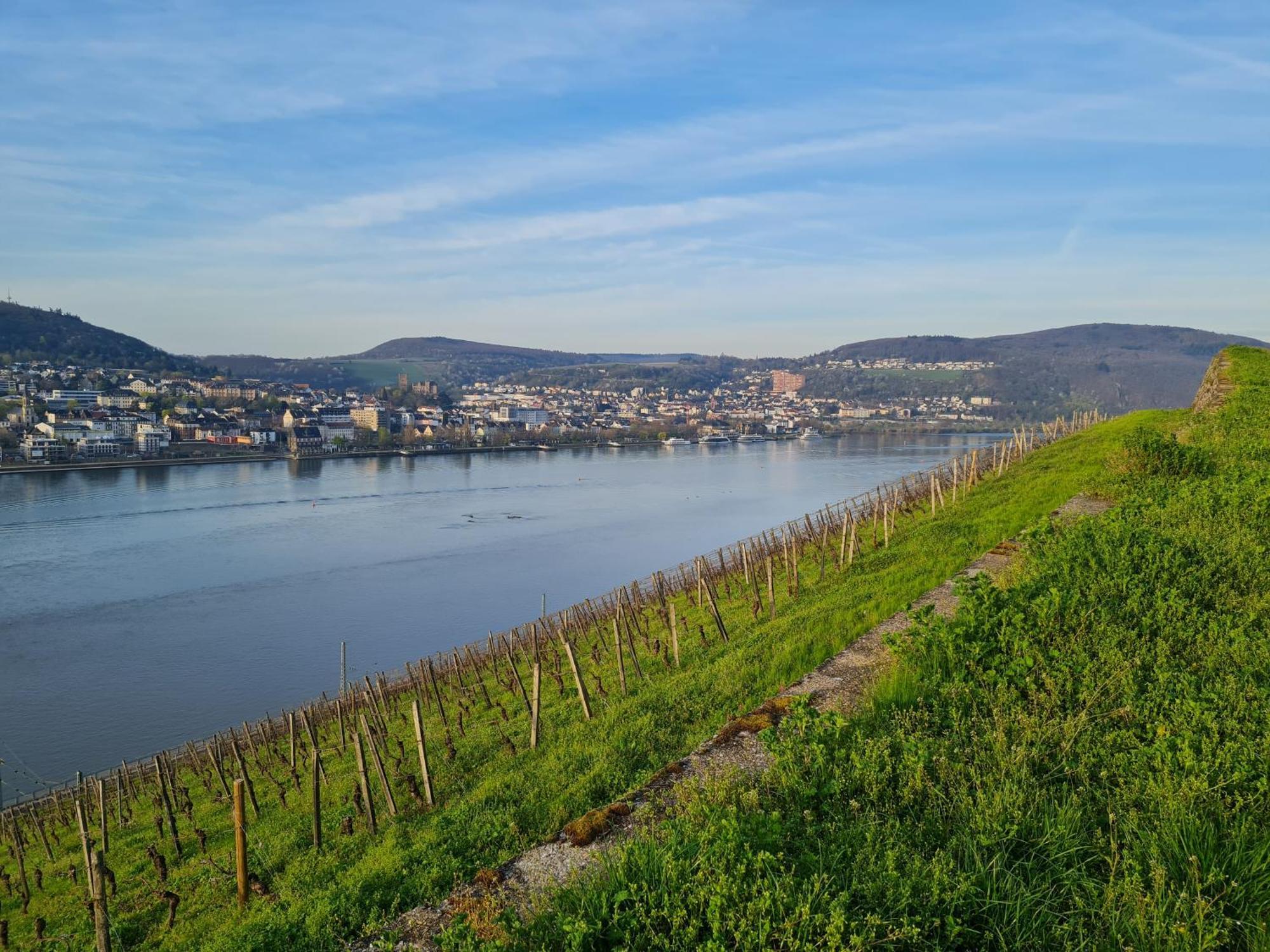 Ferienwohnungen Am Markt Rüdesheim am Rhein Extérieur photo